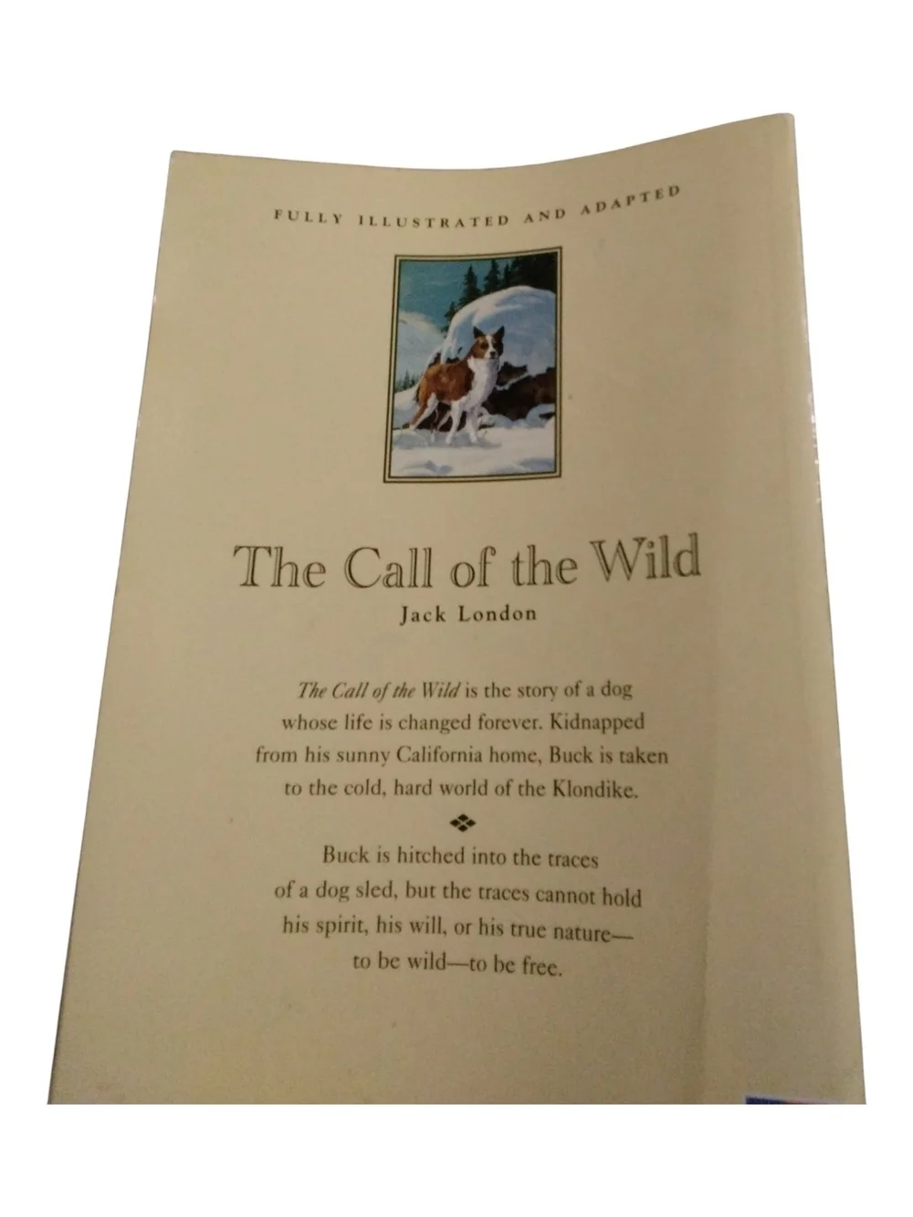 Classic Kids Book Set - The Call of the Wild & Pinocchio
